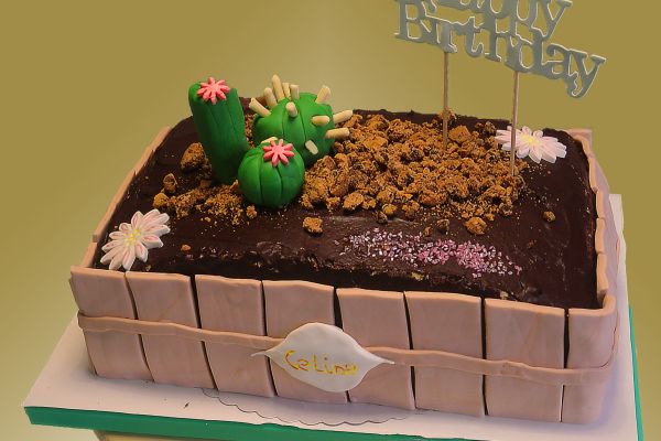 kaktus-kuchen657280A9-17C7-E96F-4455-602F6A4EB4C5.jpg