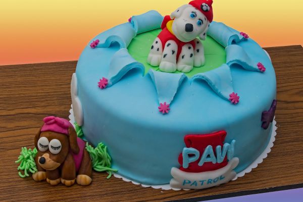 raw_patrol_20212AD94CC7-FDBD-7F7D-2188-589872CE1AD1.jpg
